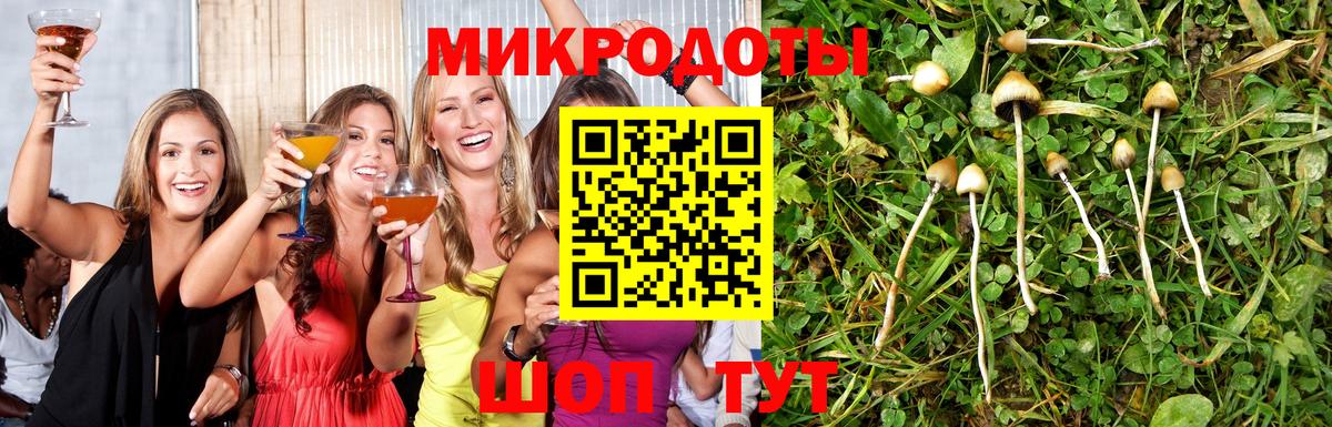 Галлюциногенные грибы GOLDEN TEACHER Красноармейск