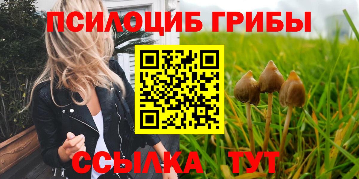 Псилоцибиновые грибы Psilocybe  что такое наркотик  Красноармейск  Вход с VPN 